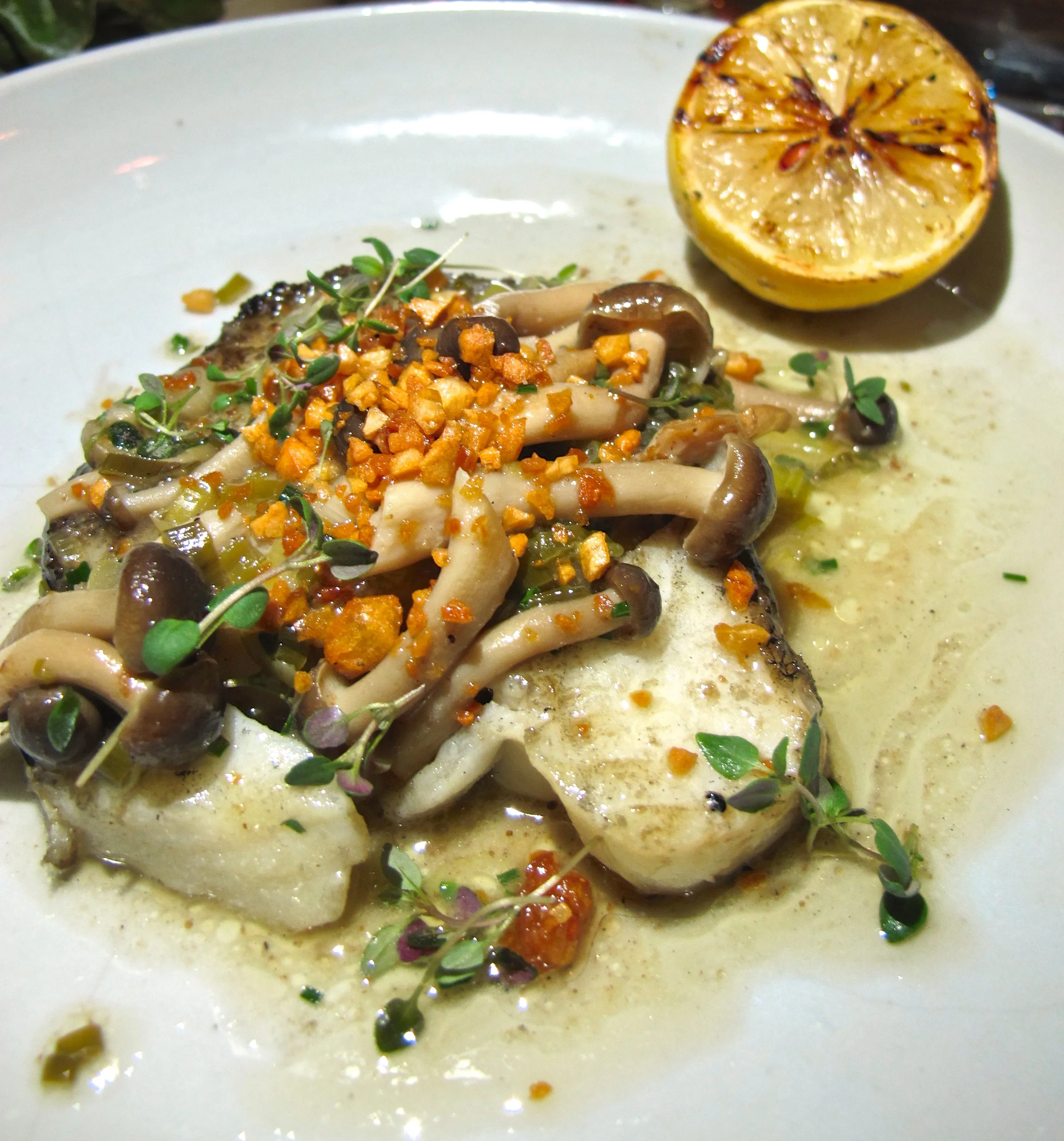 Cadet Santa Monica - CLOSED