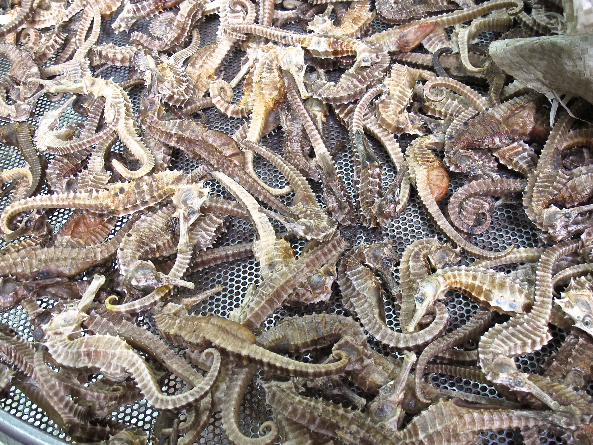 Sheung Wan District Market.JPG