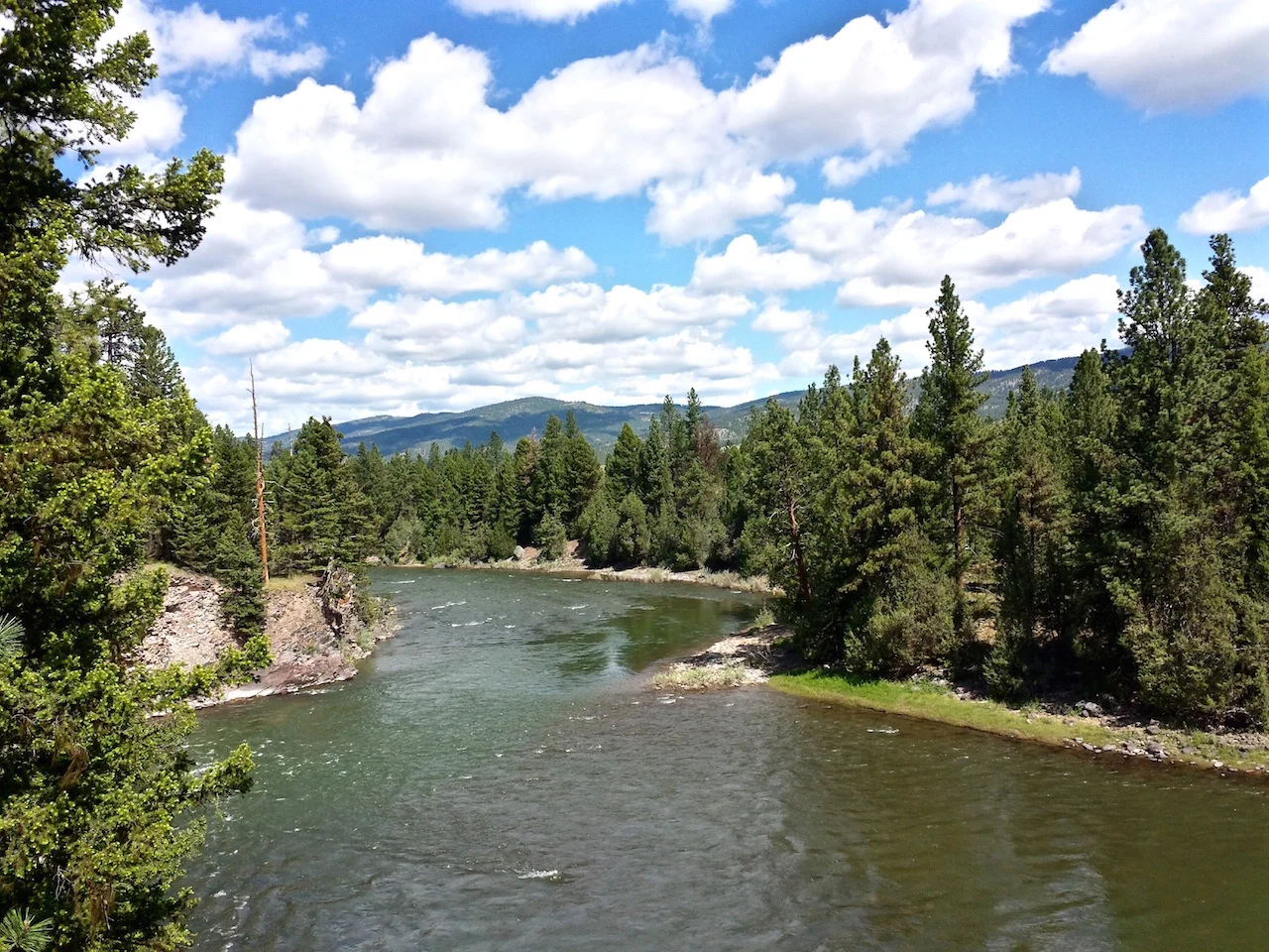 Paws Up Family Glamping