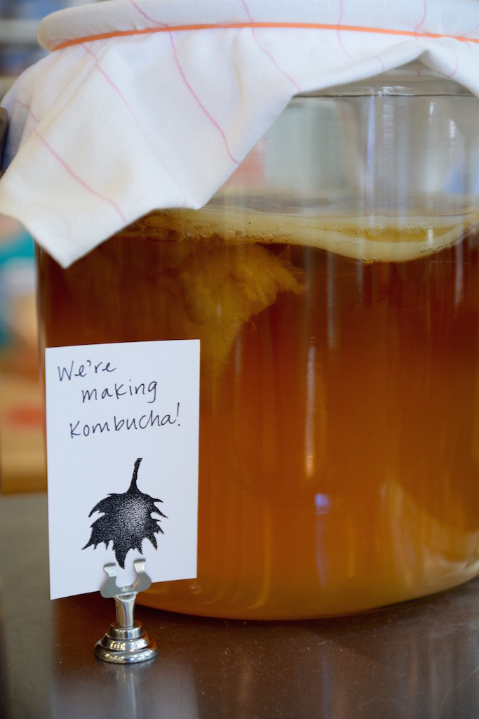 London Plane kombucha.jpg