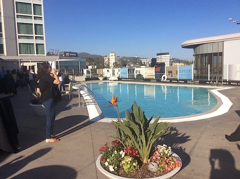 Vegan Fig Chocolate Mousse — Tasting Page