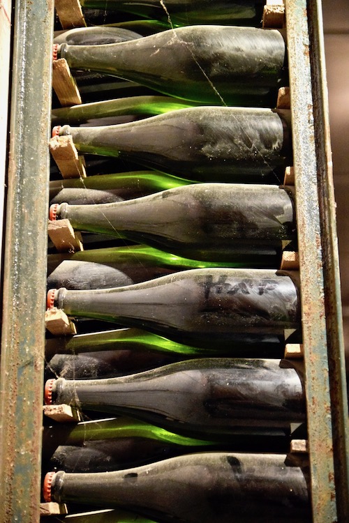 Old wine bottles.jpg