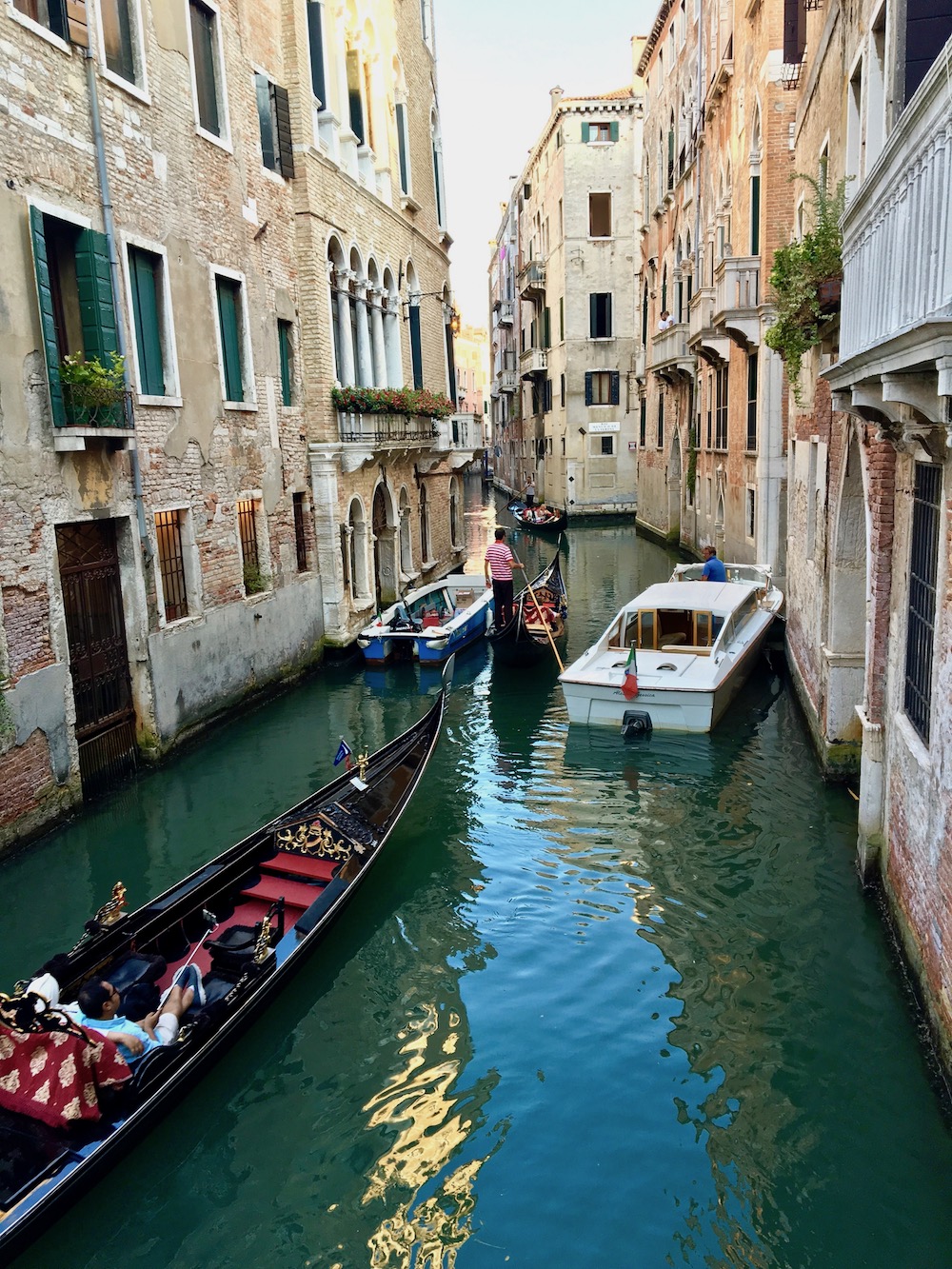 Venice gondolas.jpg