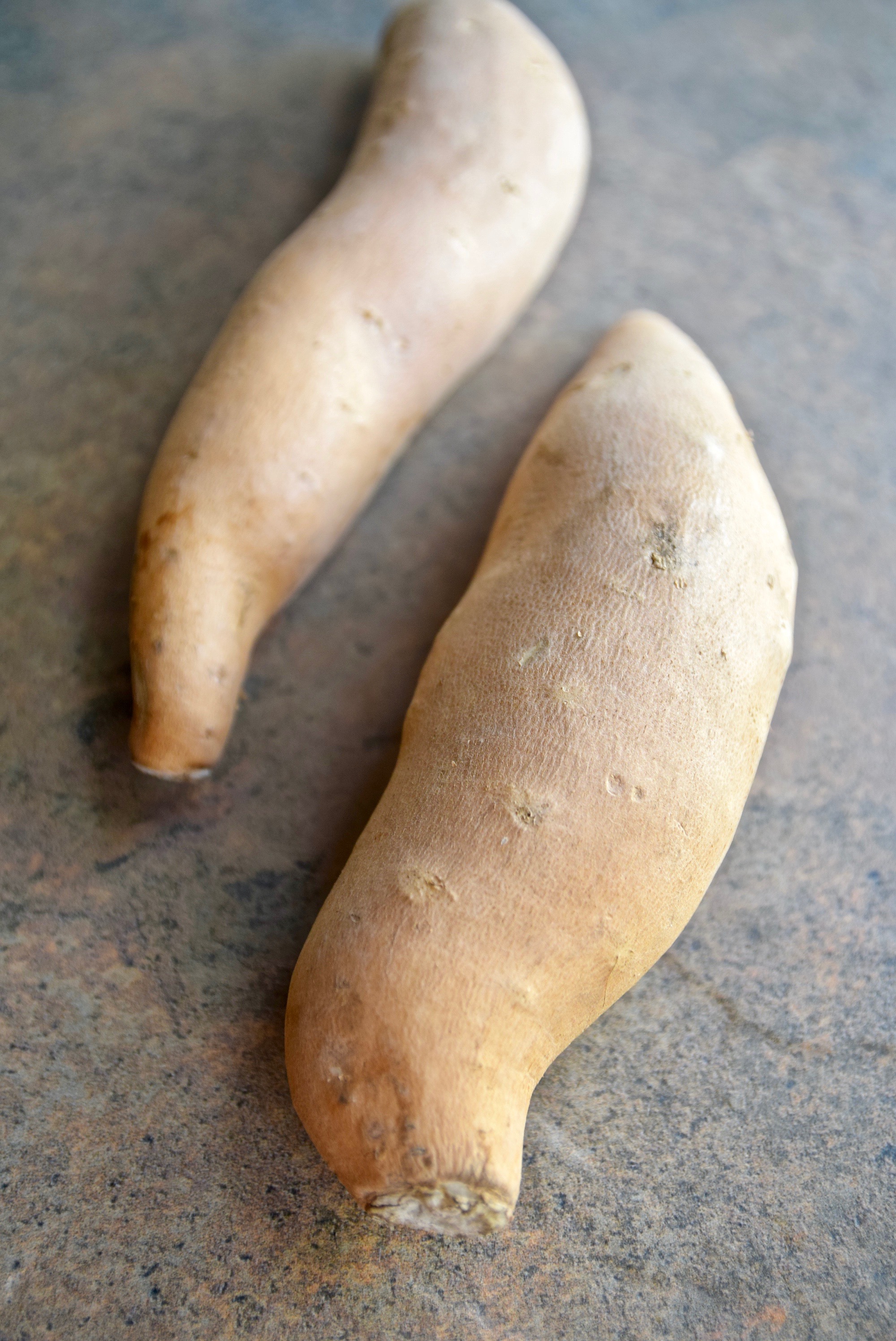 white sweet potatoes.jpg