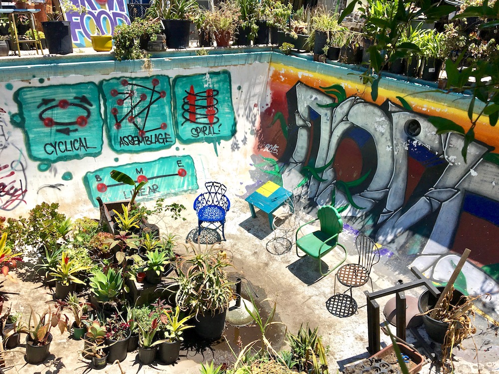 Gangsta Gardener garden pool.jpg