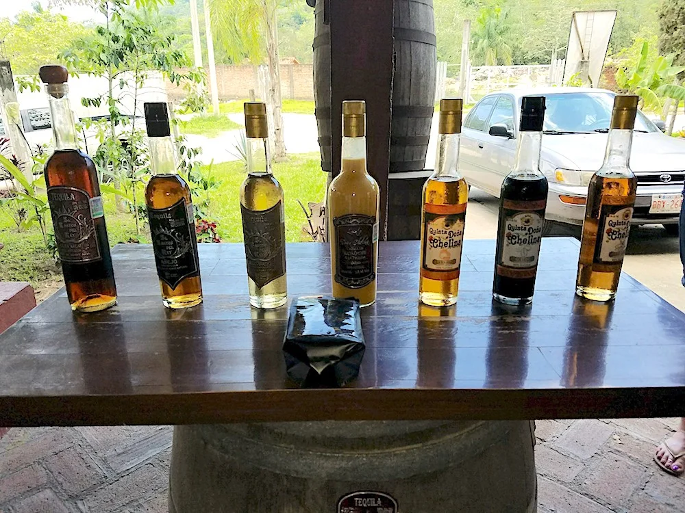 Learning Craft Tequila Making at Mexico's Baston del Rey