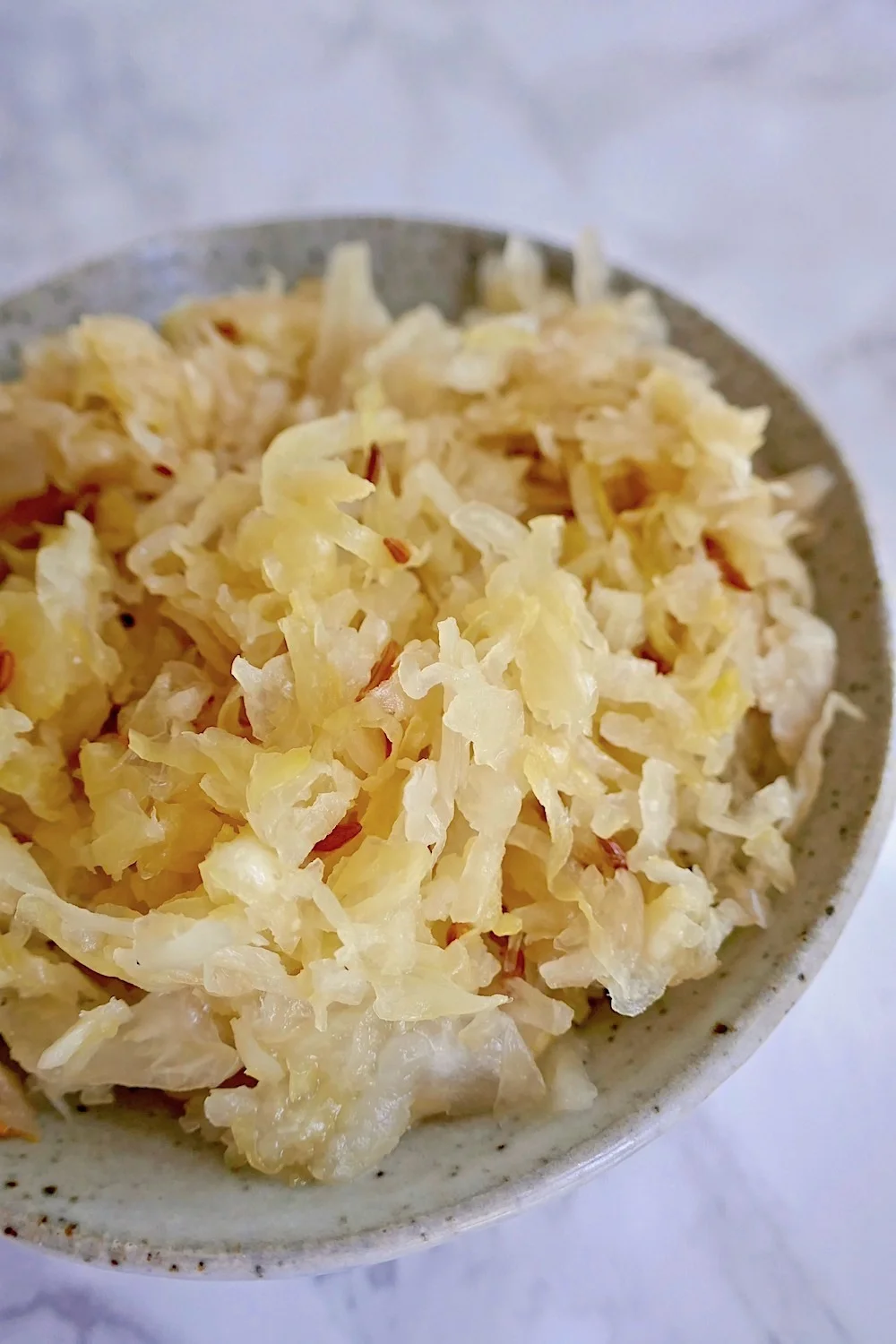 5 Step 2 Ingredient Easy Sauerkraut Recipe — Tasting Page