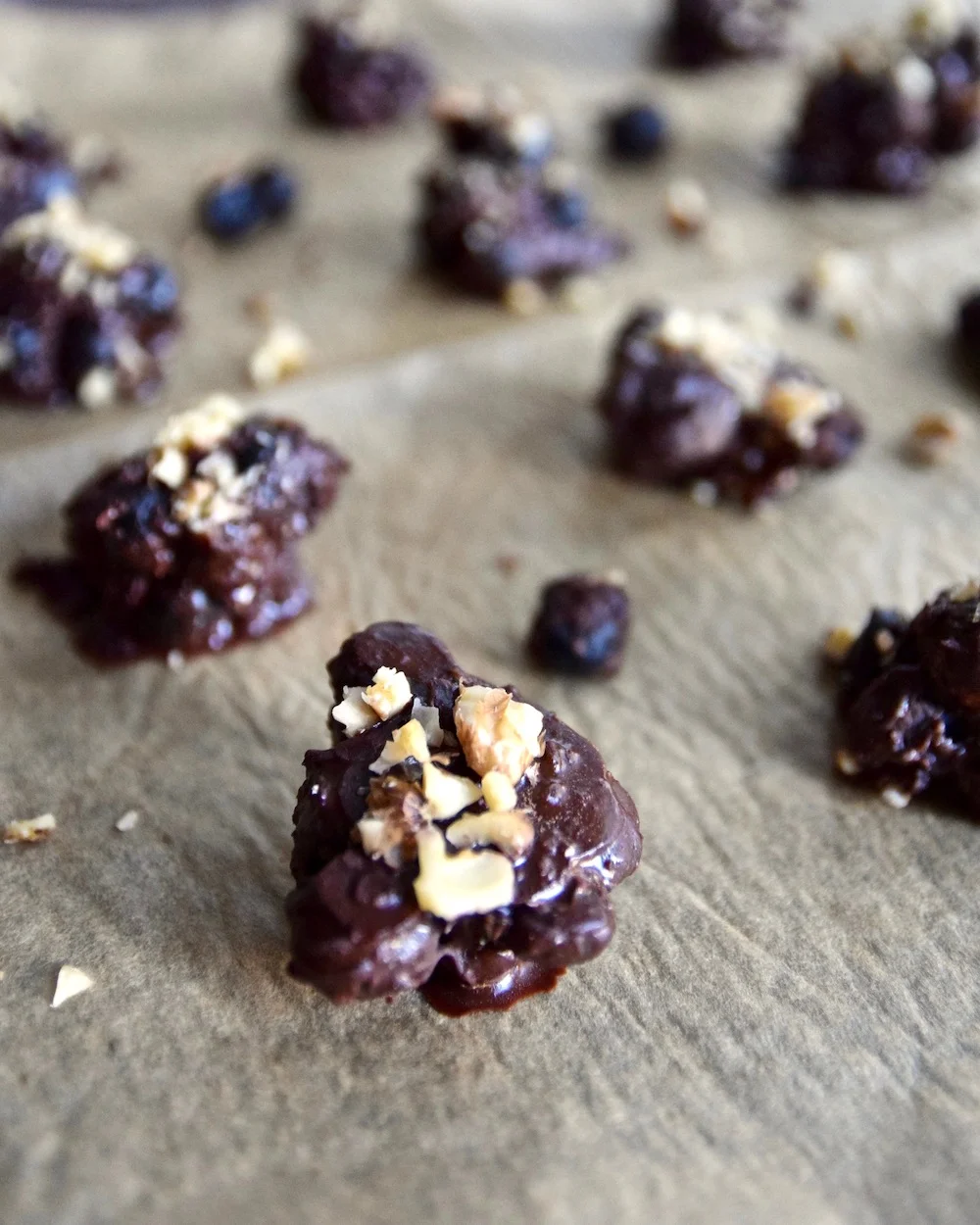 Chocolate Blueberry Nut Clusters {Paleo, Vegan, Sugar Free} — Tasting Page