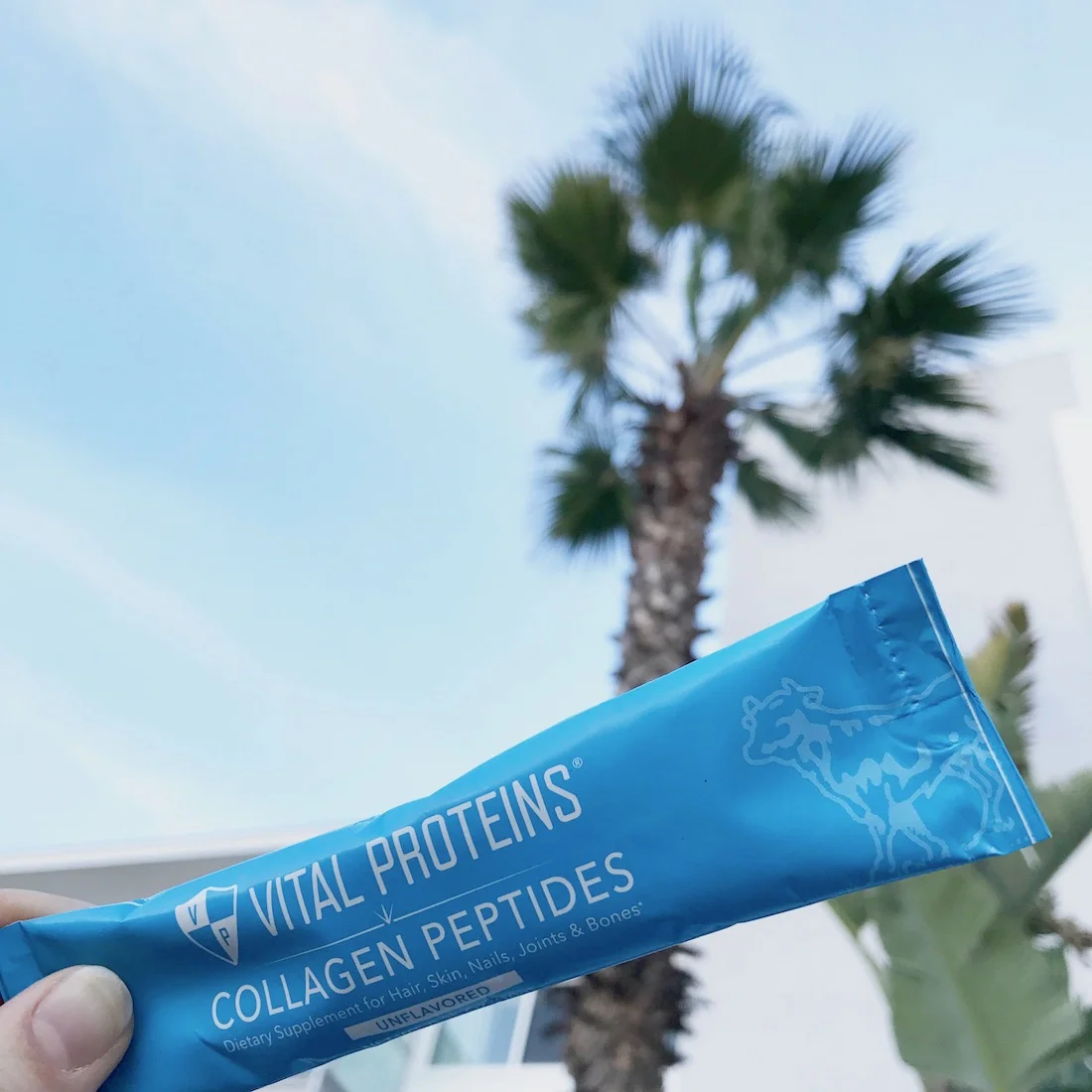 Vital Proteins Collagen Peptides Stick Packs 6.jpeg