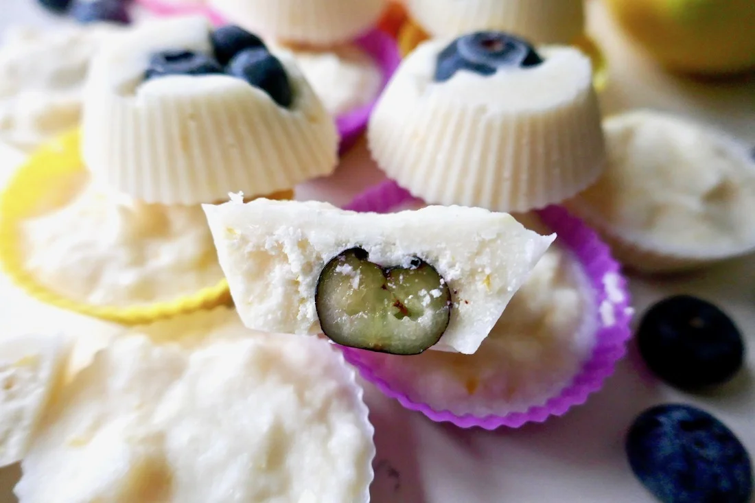 Dairy free lemon blueberry fat bombs.jpg