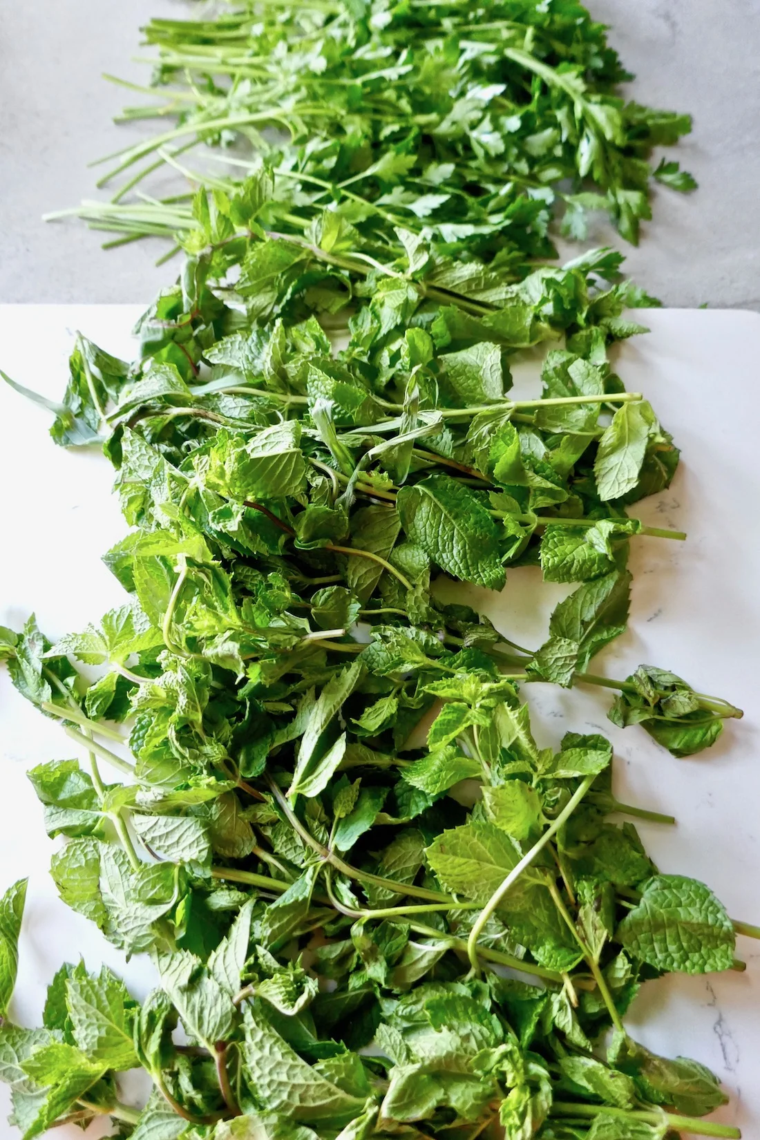 Garlic Mint Chimichurri Sauce {Paleo, Vegan, Gluten Free} — Tasting Page