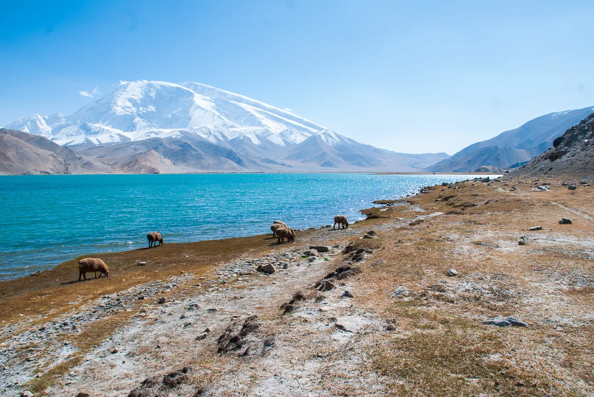 travel_xinjiang_0566.jpg