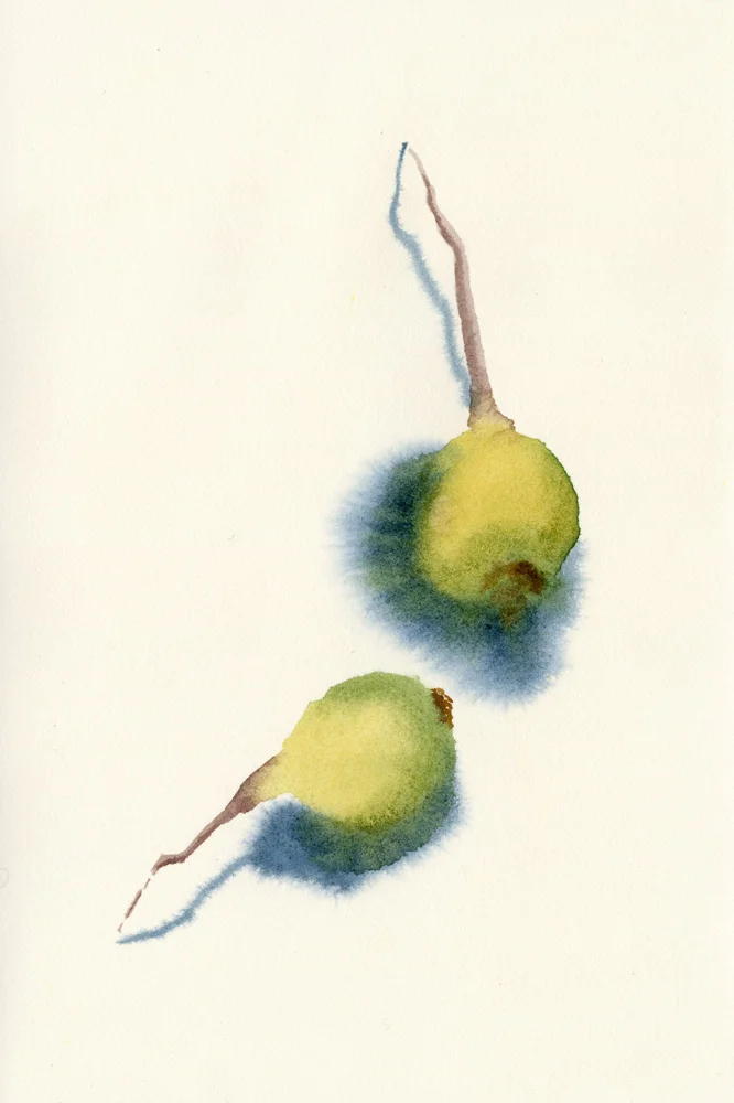 img279.jpg