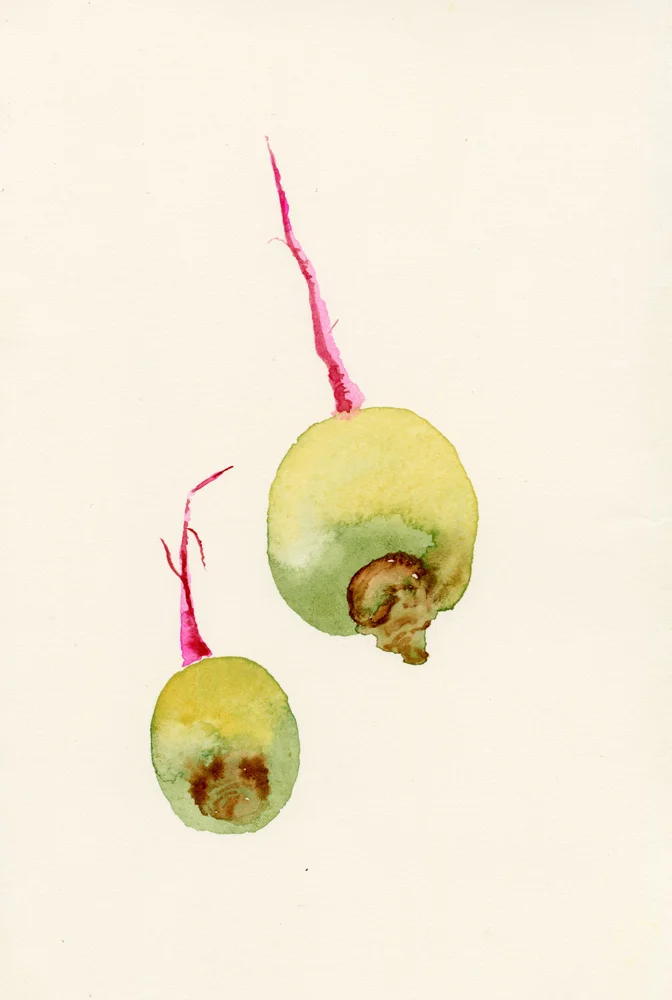 img287.jpg