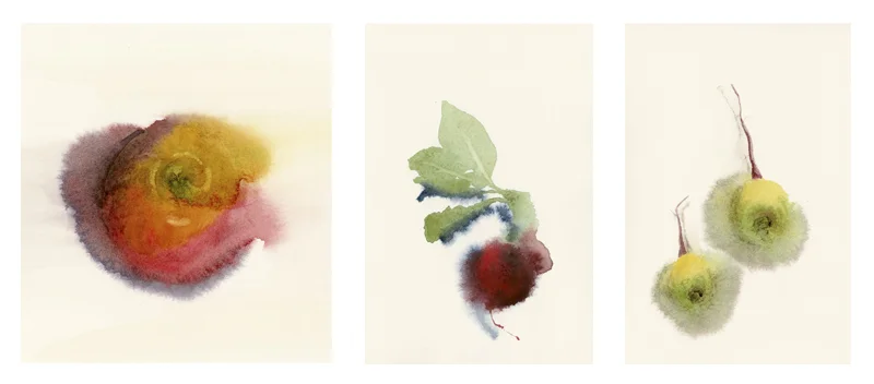 Watercolor Still Lifes ~ from left to right: Apple, Radish, Turnips