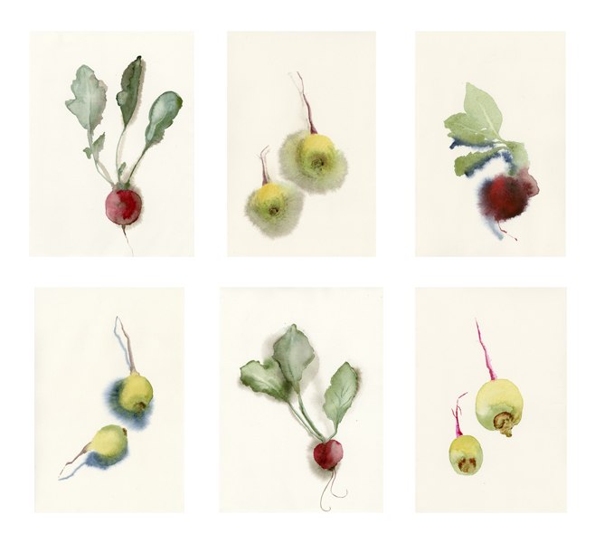 Watercolor Still Lifes ~ copyright © Sophia Khan