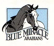 Blue Miracle Arabians - Agua Dulce, CA
