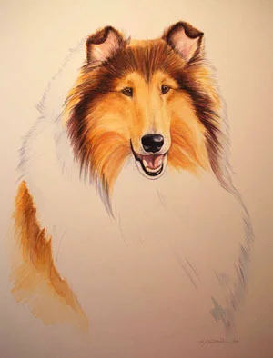 "Shaun" 15 x 20"
