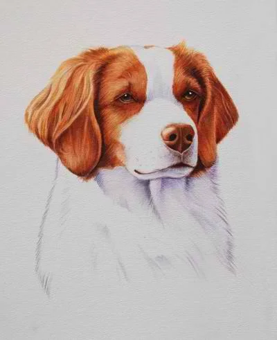 Brittany 15 x 20"
