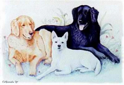 "Tap Ranch Dogs" 22 x 28"