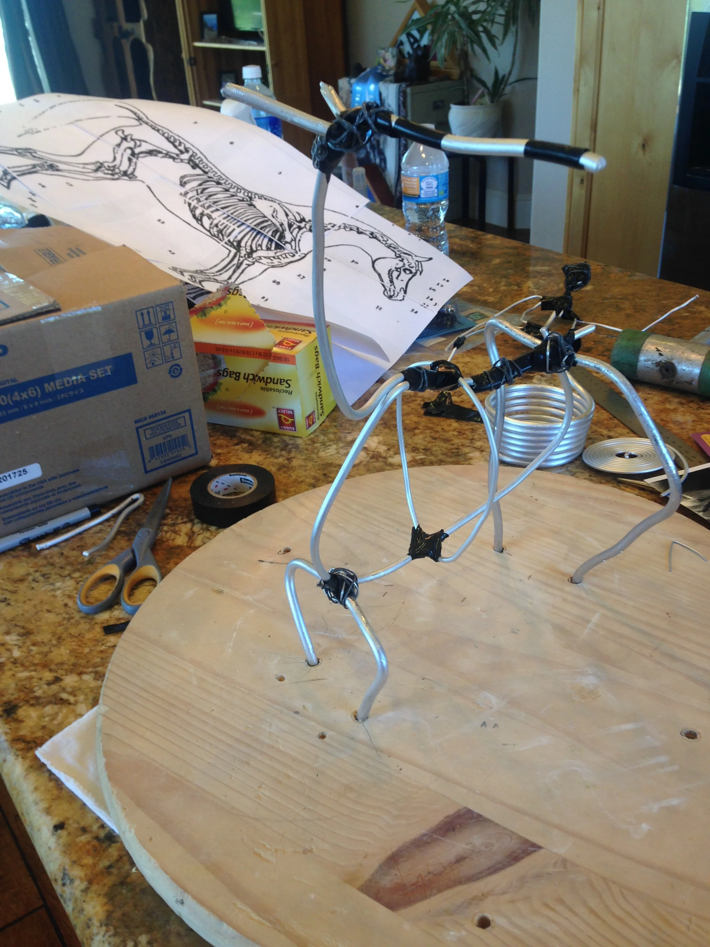My horse armature.