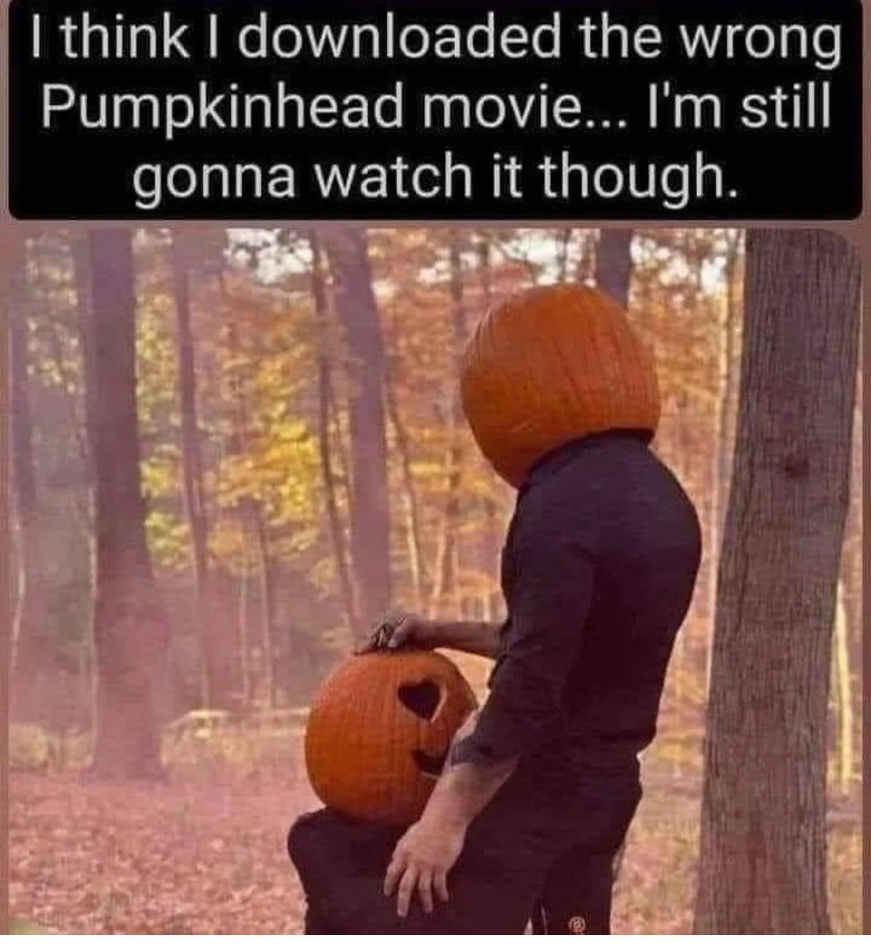 It’s horror movie season #xdman #pumpkin #halloween #funny #fall #autumn #horror #outdoors