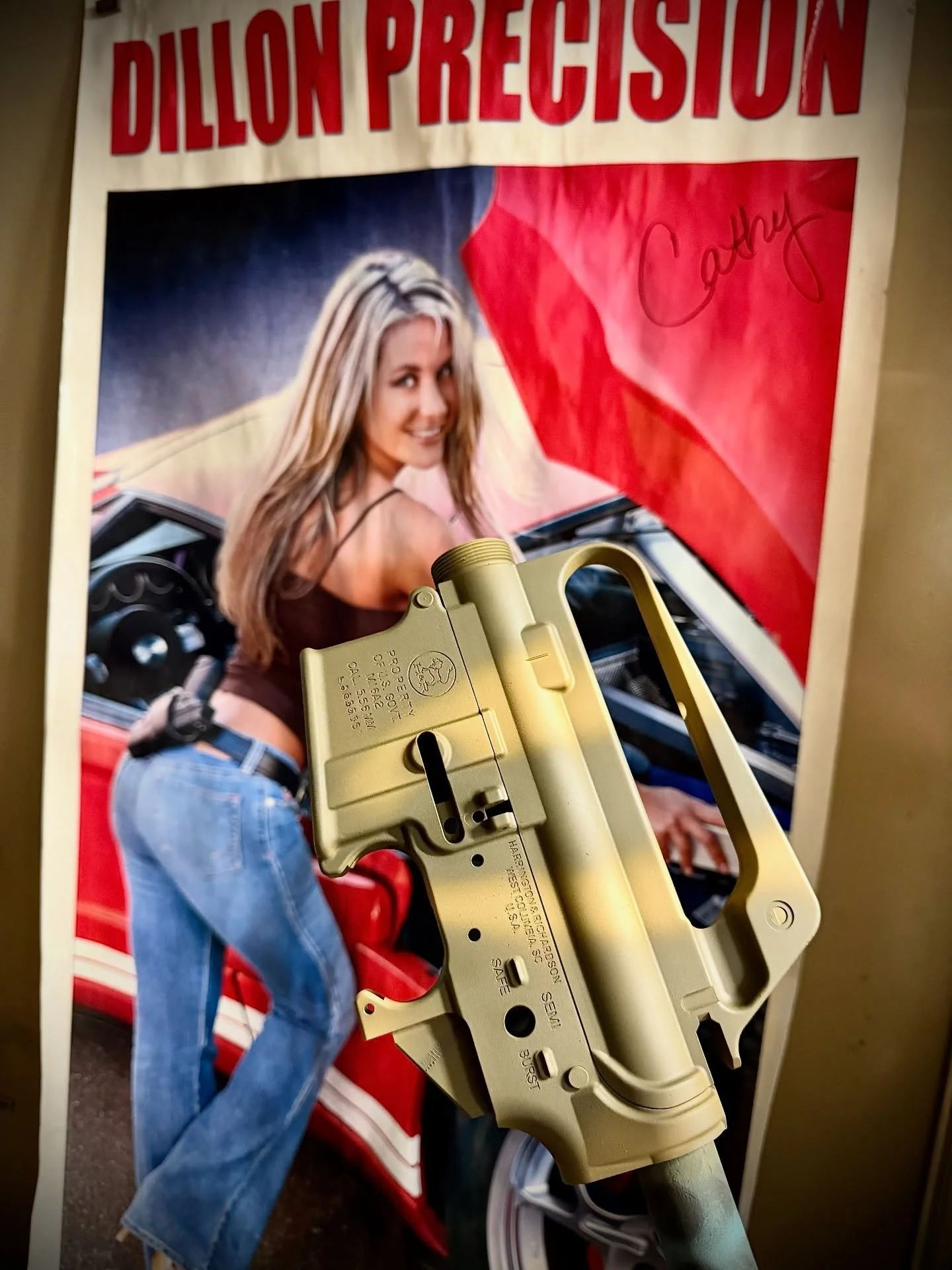 Cathy agrees, Fucking Irene! One last bake and let&rsquo;s finish this bitch. #xdman #ar15 #dillonprecision #fuckyea #2a #palmettostatearmory #pewpew #gordy #blooddiamond #pewprofessional #merica