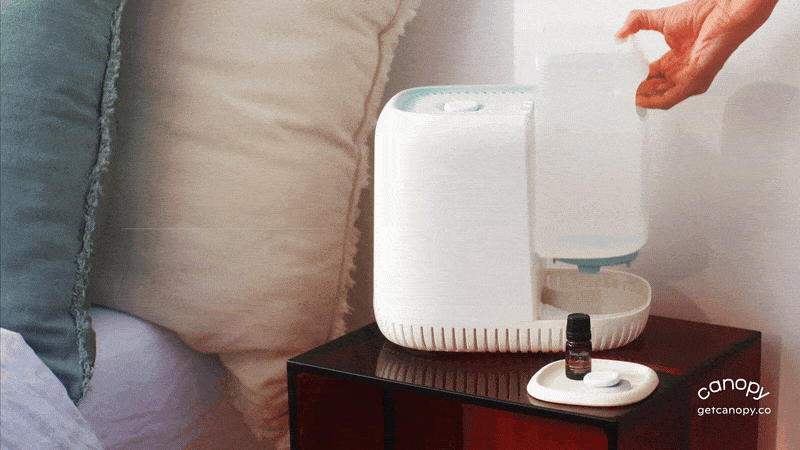 Canopy - Humidifier Campaign