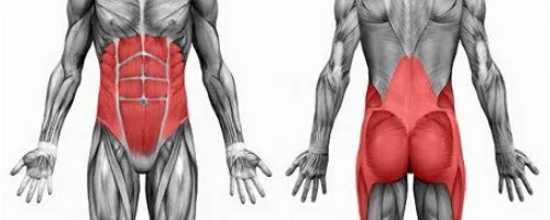 WHAT IS THE PILATES' POWERHOUSE?