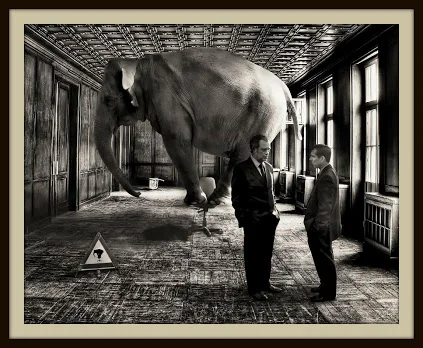 Pilates and the ELEPHANT in the room