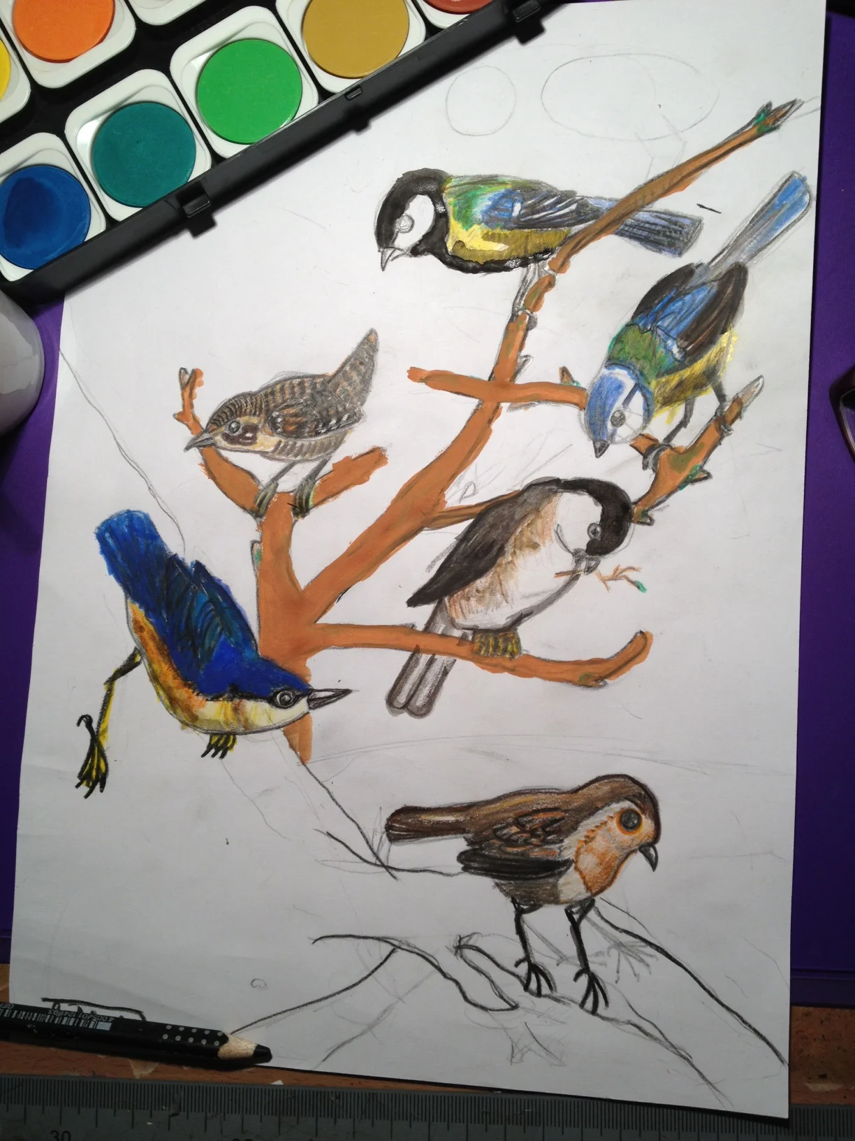 Birds - a work in progress