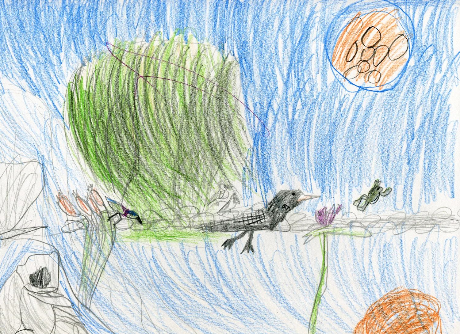 Loon at Full Moon's Rise By Elijah 