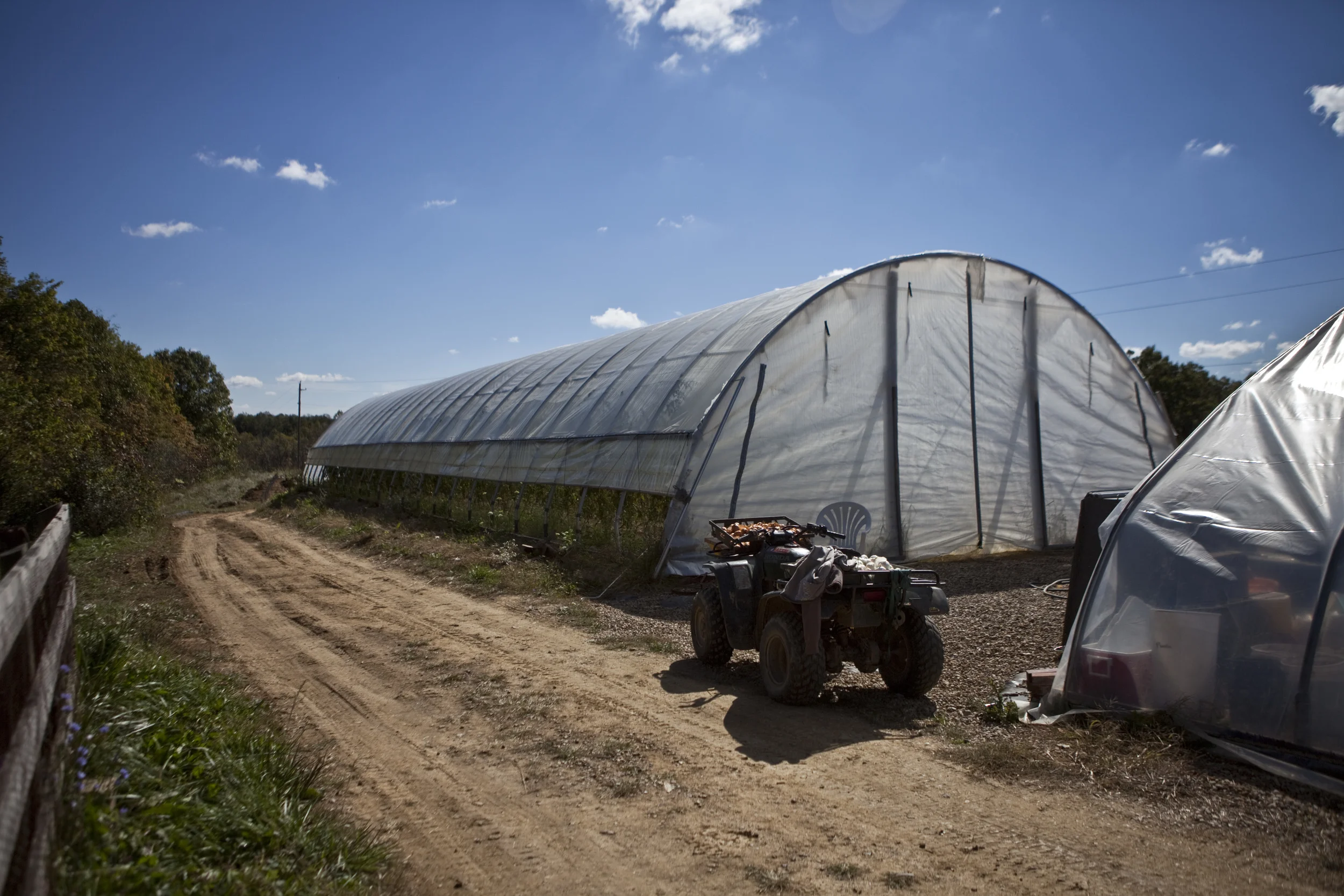 hc-farm-2013641.jpg