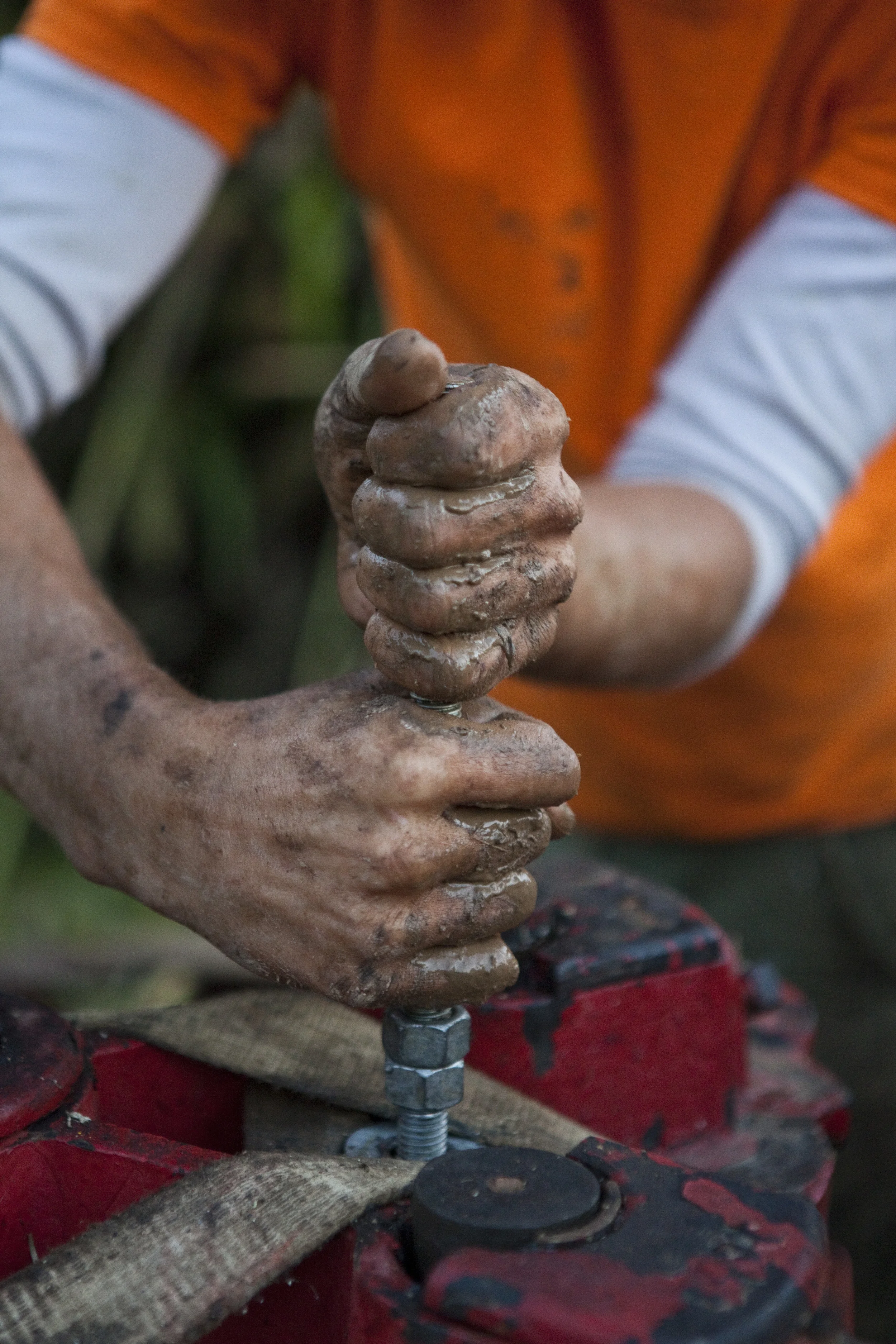 Working Hands