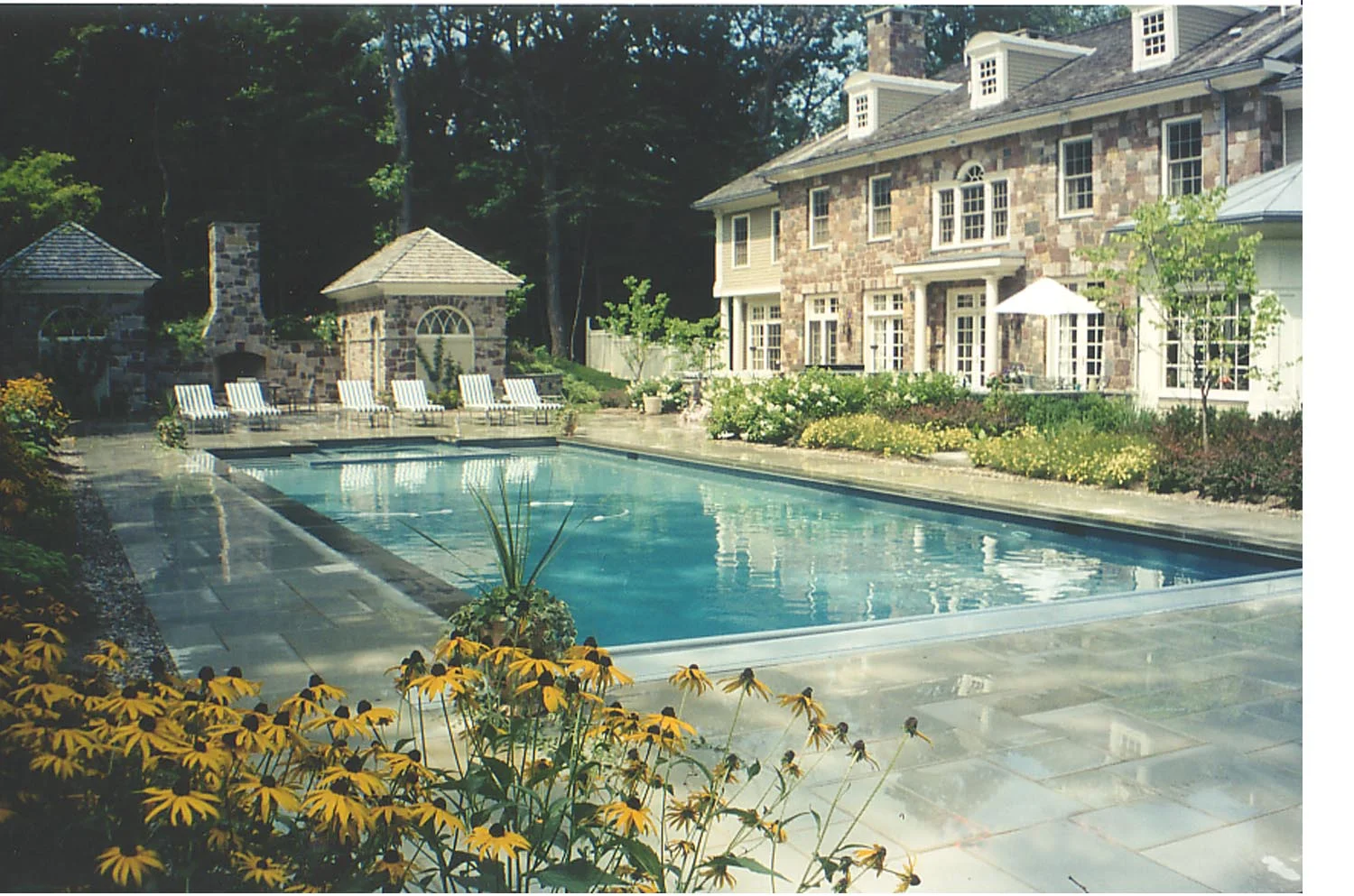 Pettingill2.jpg