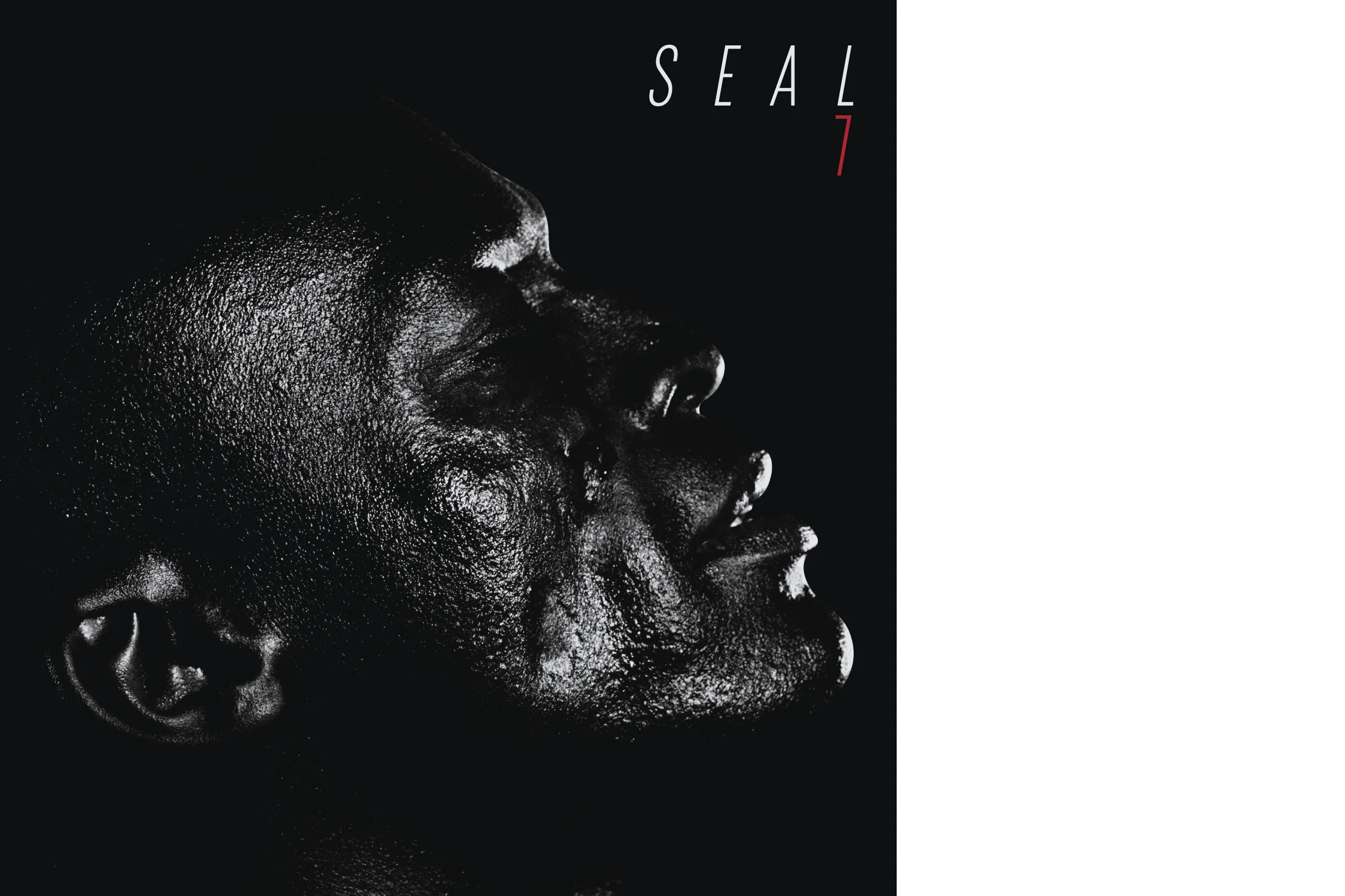 seal-7-gavin-taylor-full.jpg
