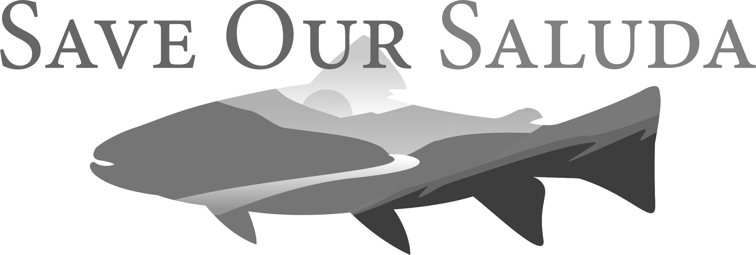 save-our-saluda.jpg