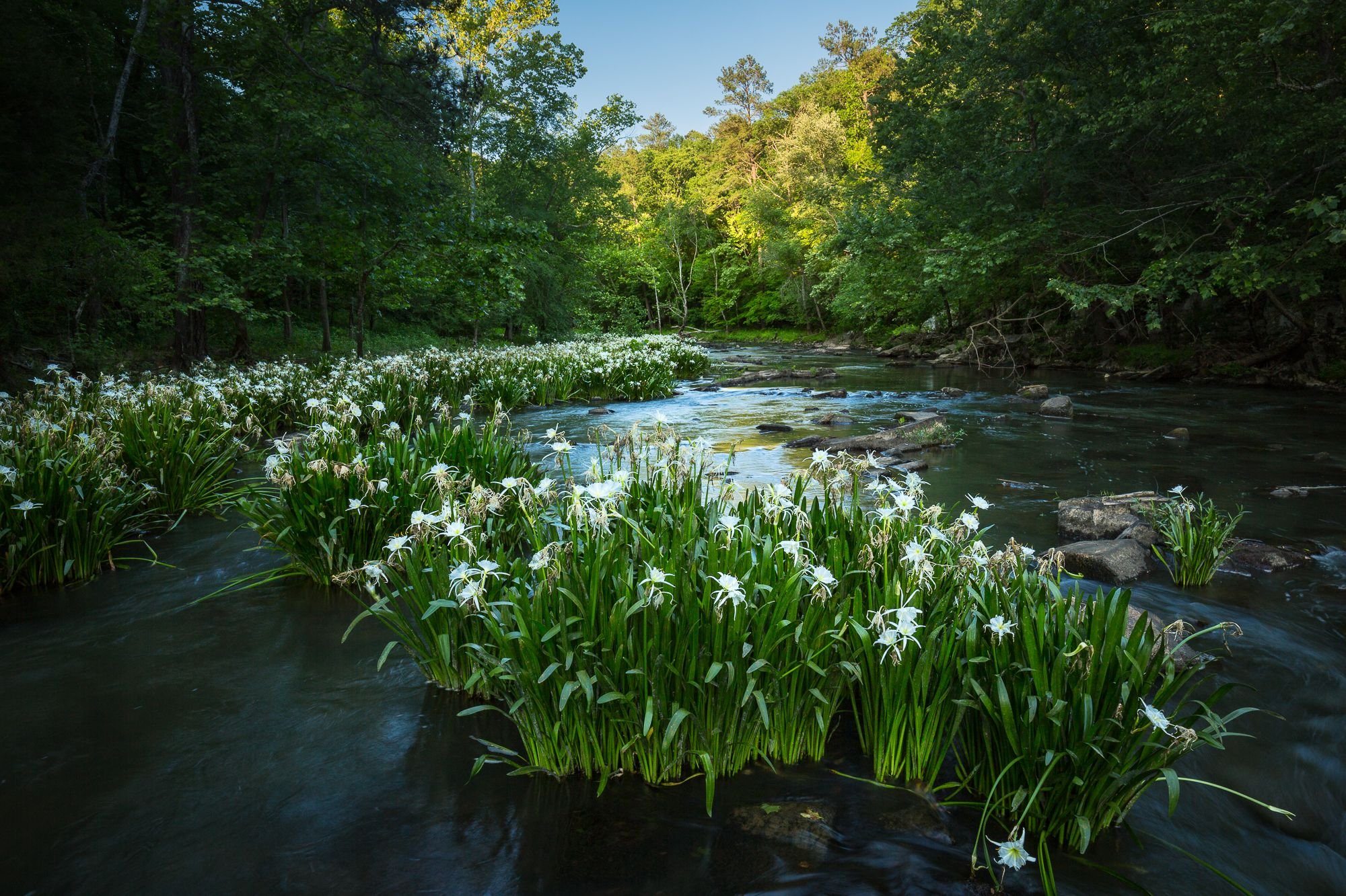 Rocky Shoals: October 2016