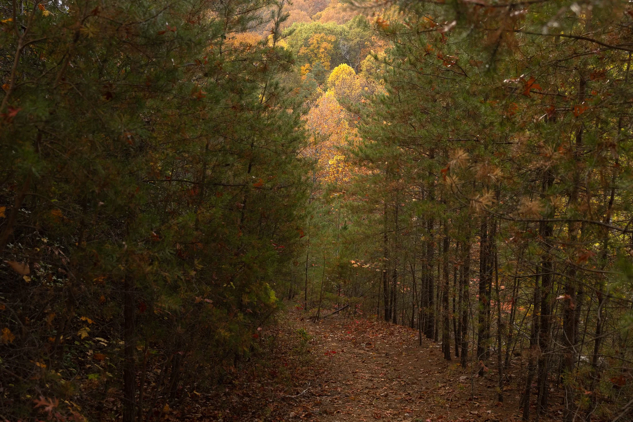 MacStone_221104_1636.JPG
