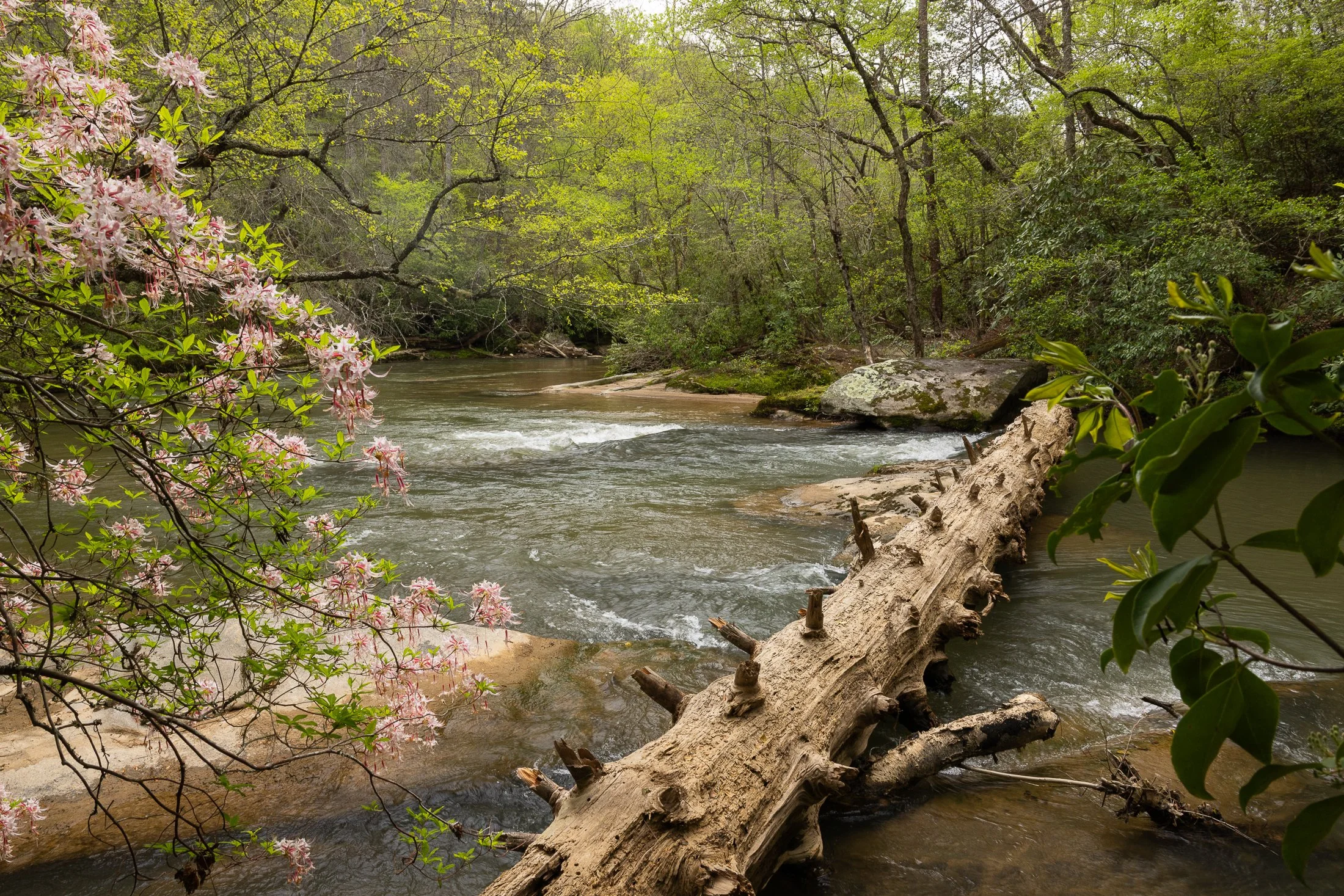 SALUDA GORGE PHASE II