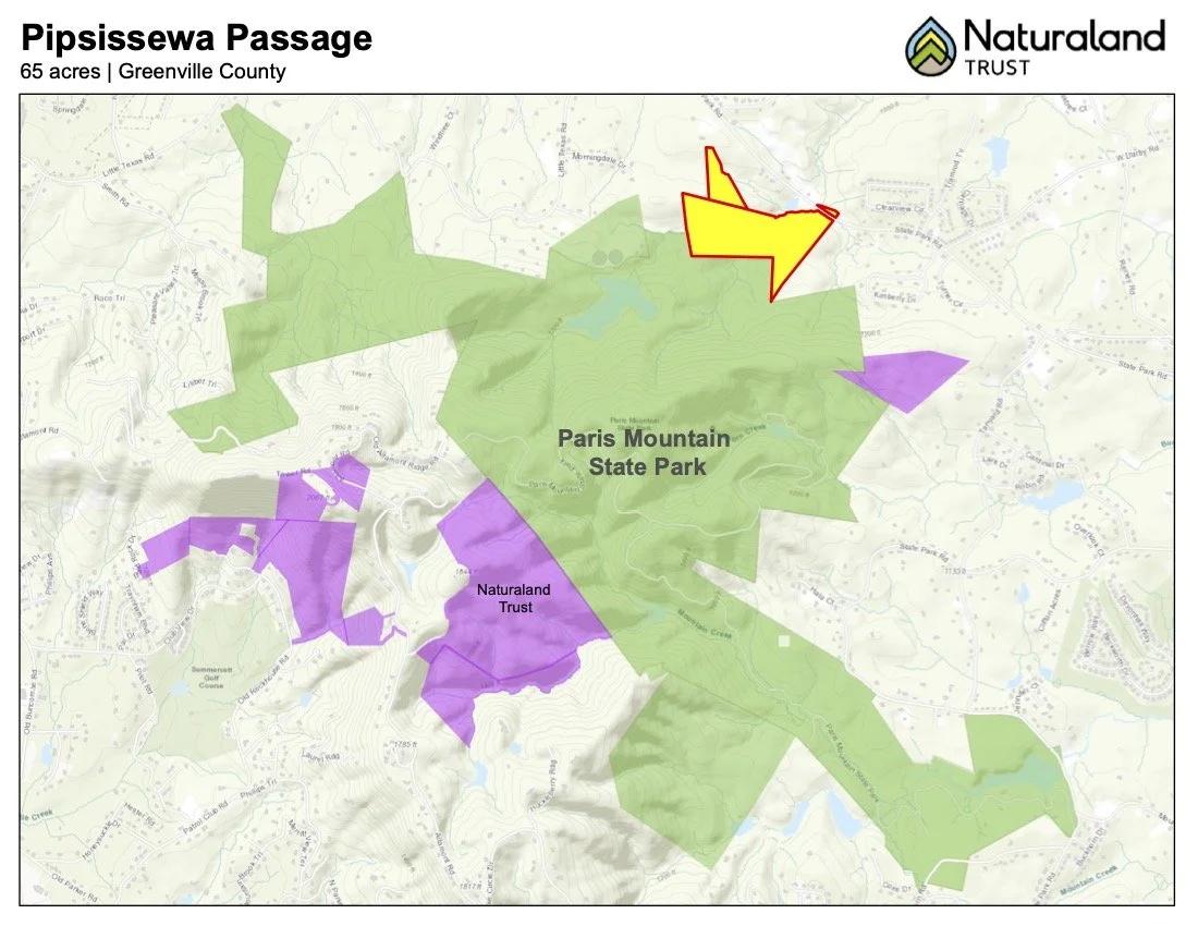 Wingard Pipsissewa Passage.jpg