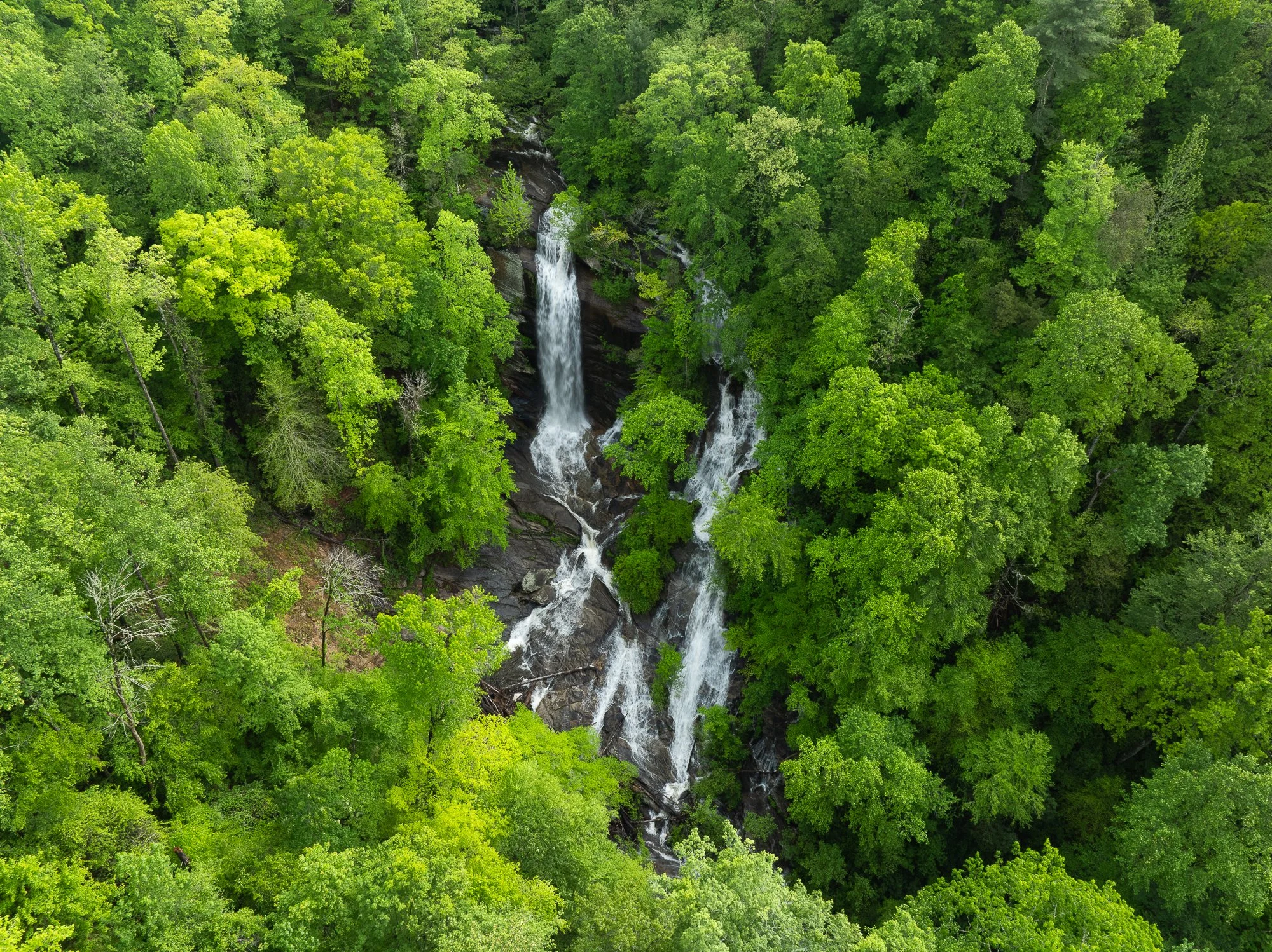 REEDY COVE TWIN FALLS - 2024