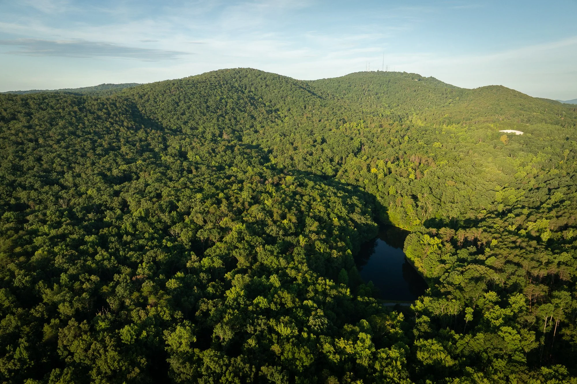 PIPSISSEWA PASSAGE - 2025