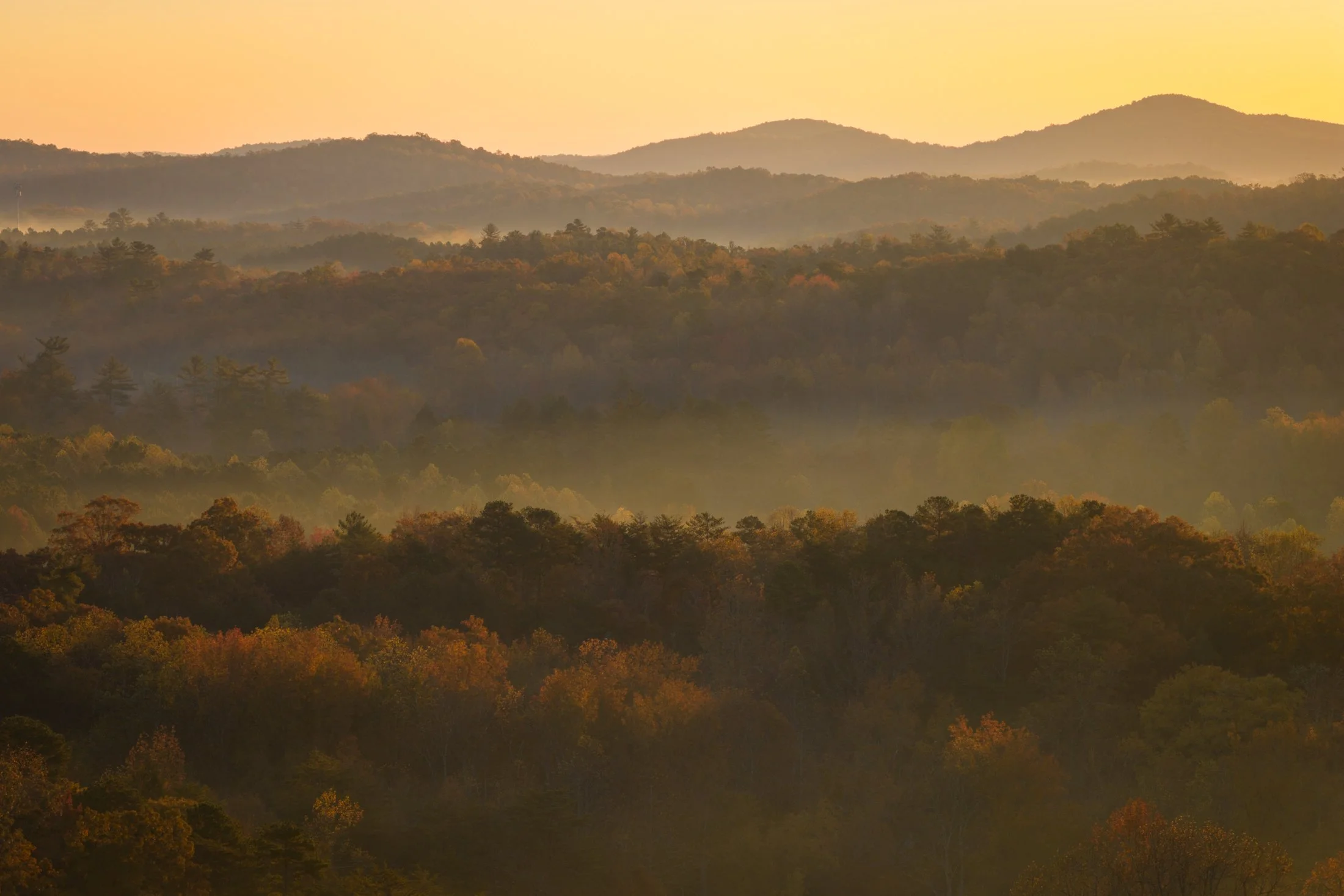 MacStone_251106_0089.JPG