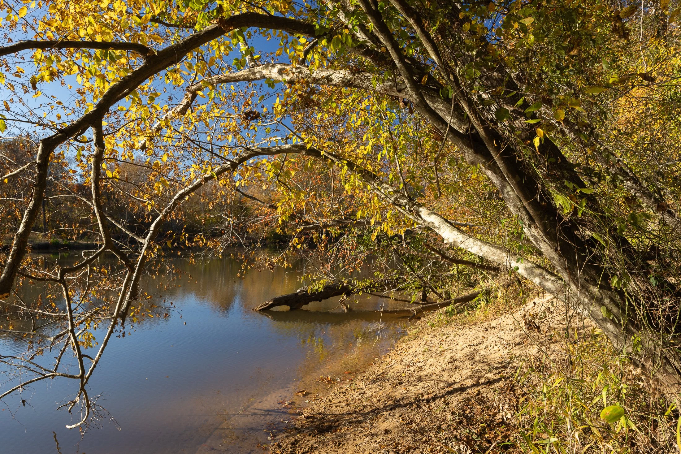 MacStone_251103_0558.JPG