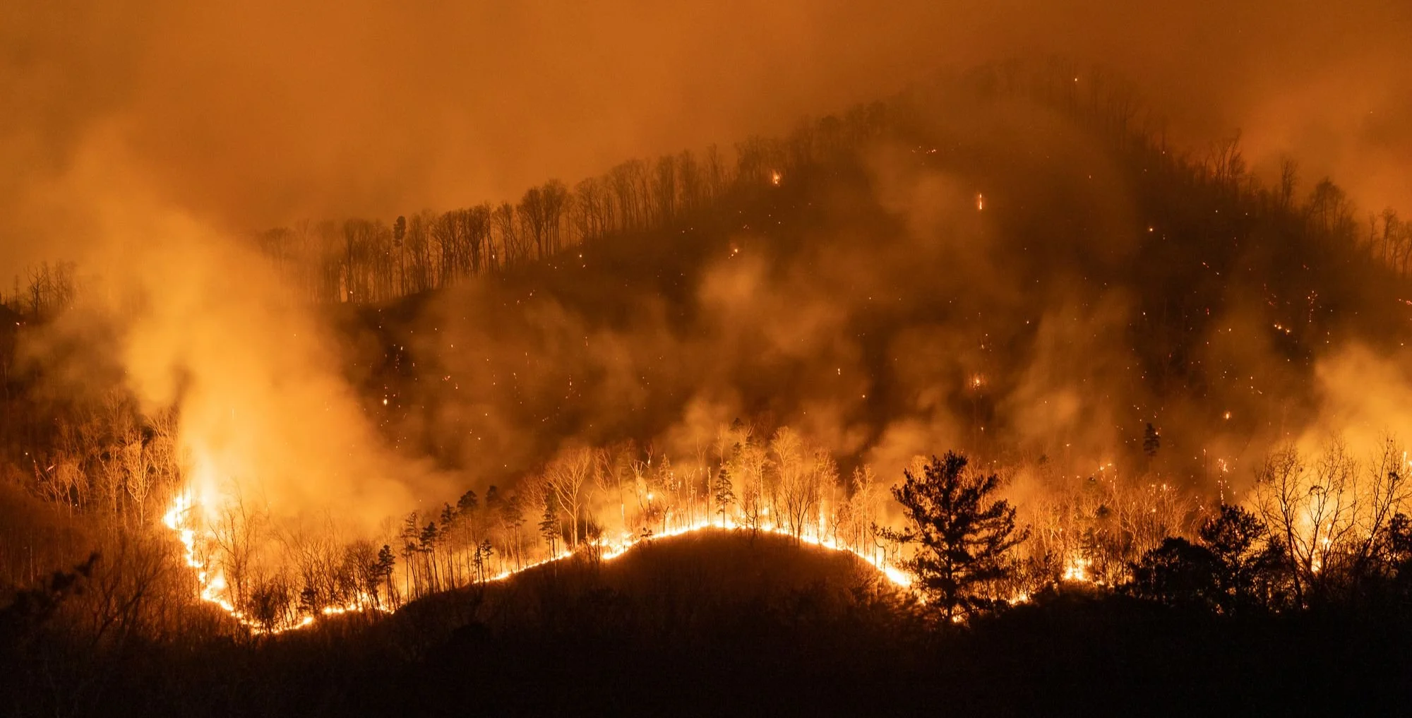 Table Rock Fires: Spring 2025