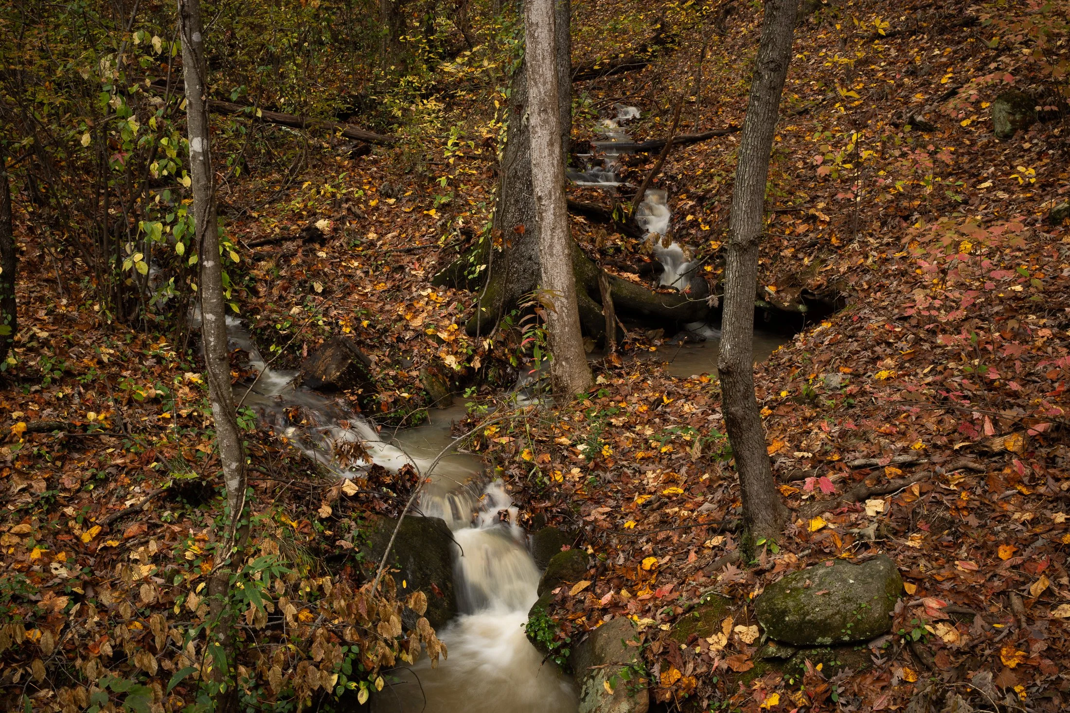 MacStone_201112_1059.JPG