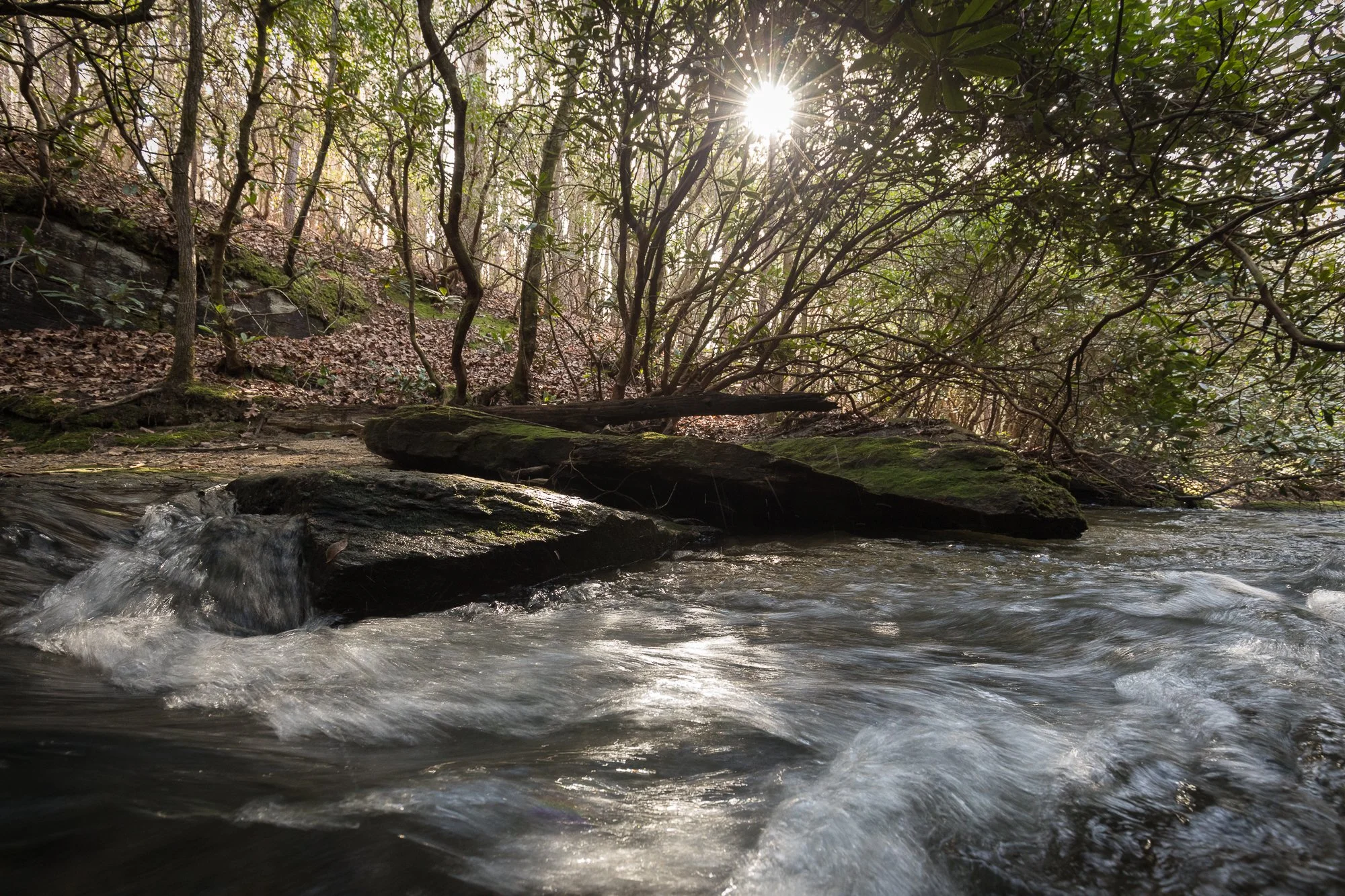 BOONES CREEK EXPANSION - 2025