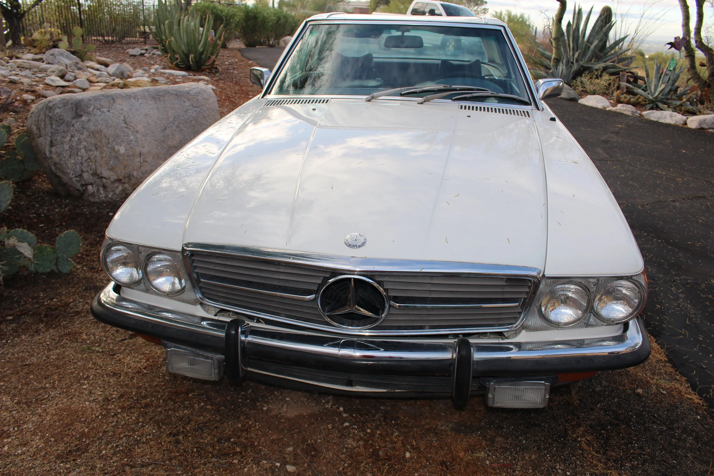 2023 1125 00 002.jpeg