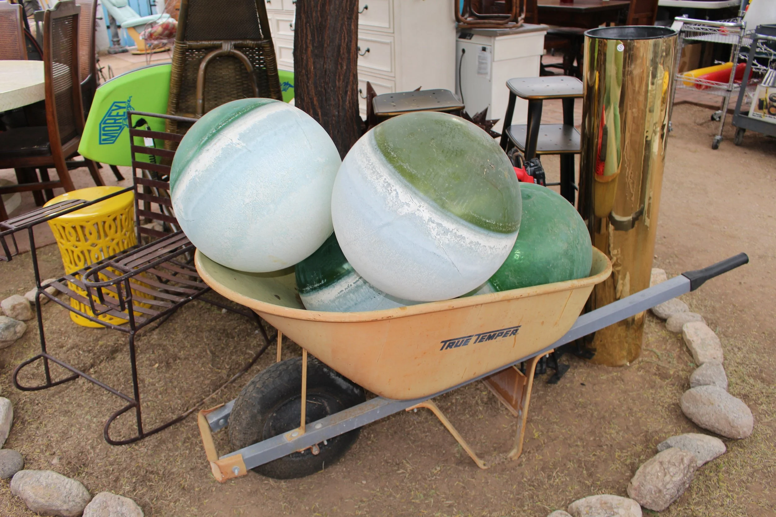 2023 1125 09 214.jpeg